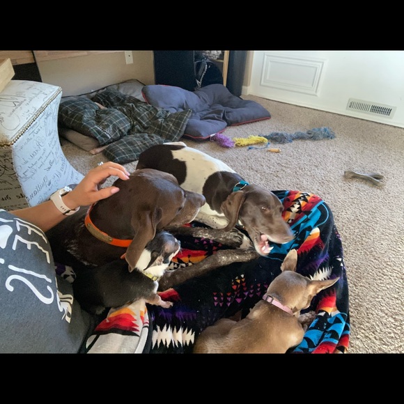 Posher, Amelia G - Picture 6 of 12